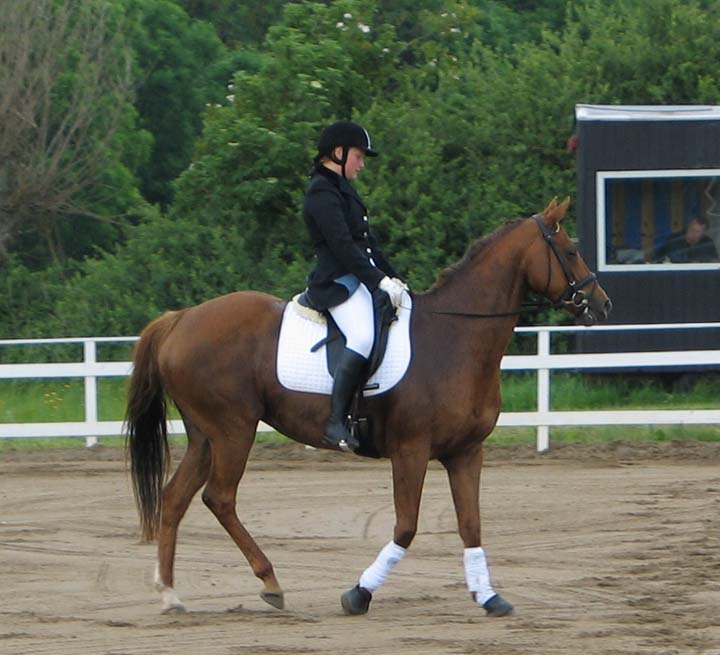 Estrelle