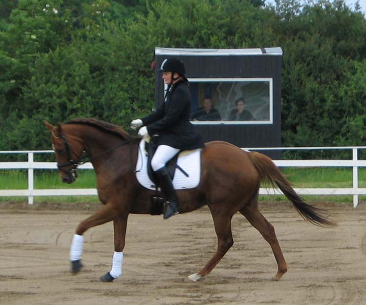 Estrelle