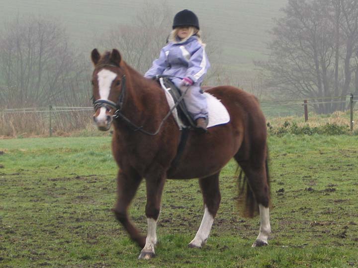 Flicka