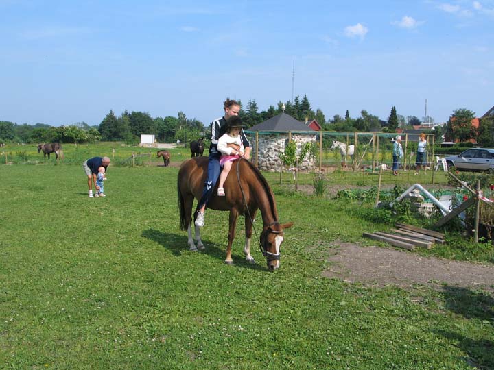 Flicka