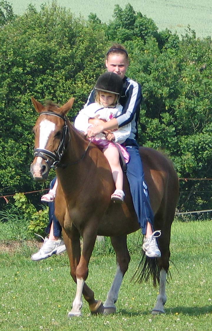 Flicka