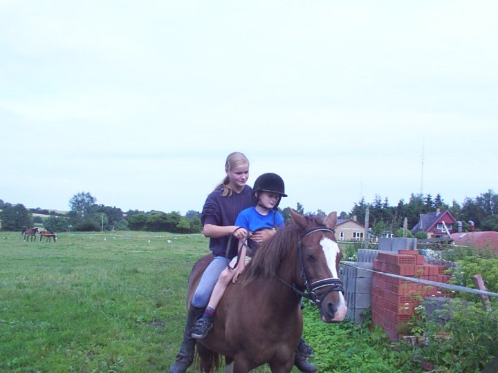 Flicka
