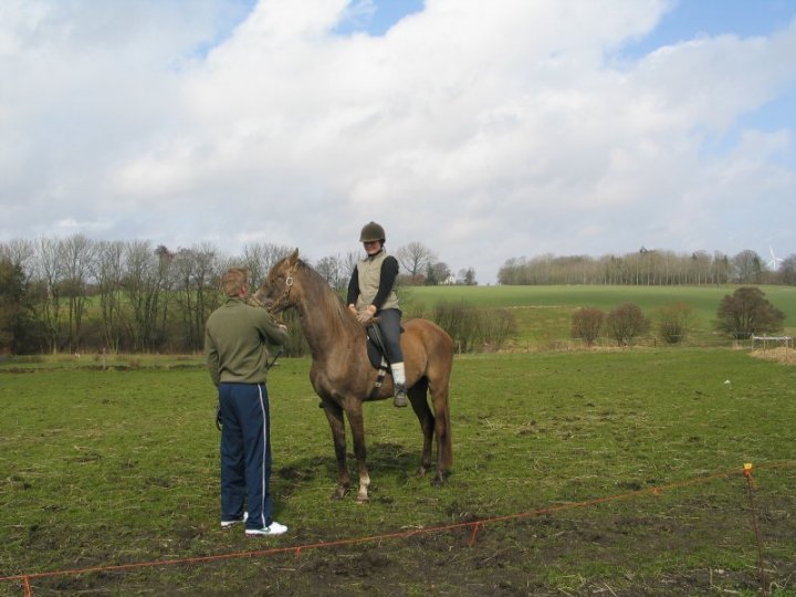 Godunow