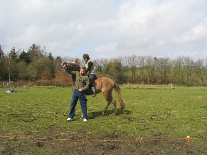 Godunow