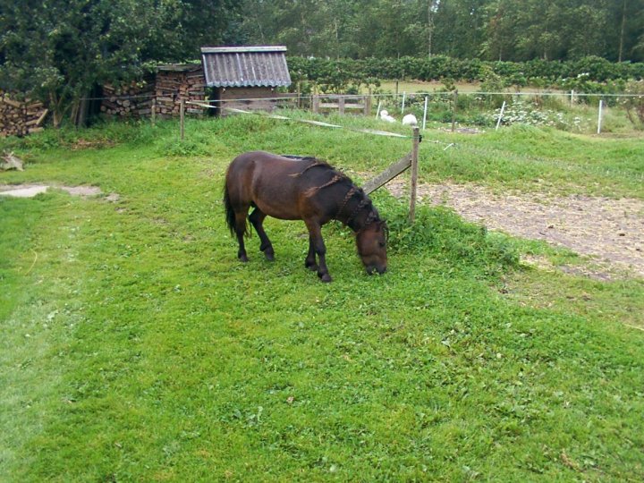 Milton