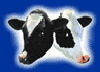 Tucows